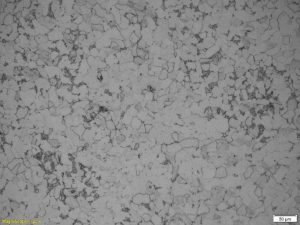 Ferrite Pearlite